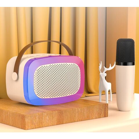 Haut-parleur Bluetooth Portable, Carte TF pour Fêtes à Domicile, KTV Mobile, Cadeau de Noël, Mini Machine de Karaoké pour Enfants, Microphone sans Fil RGB