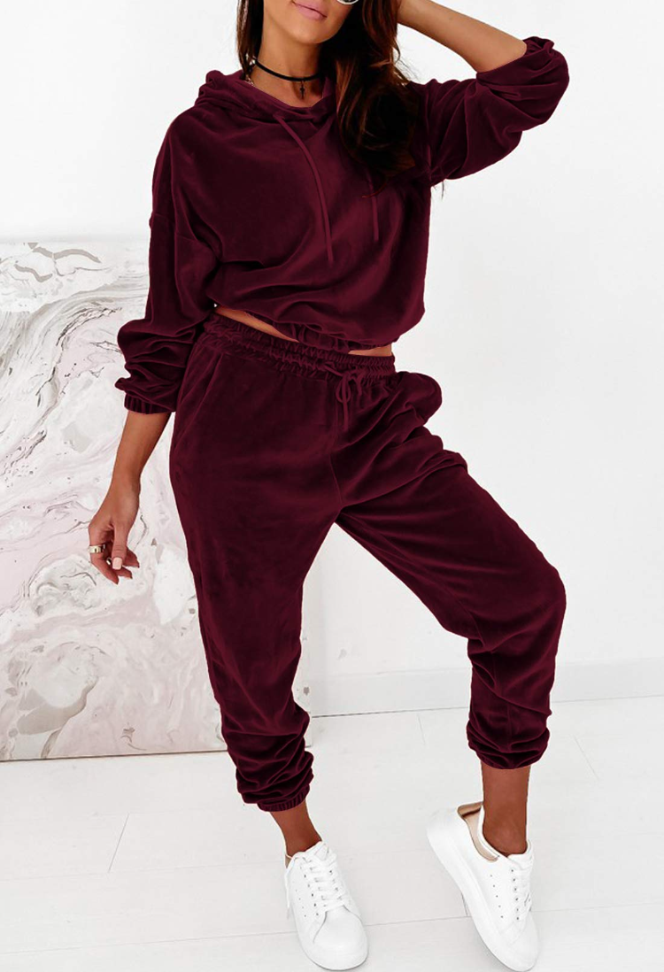 RQYYD Tracksuit Sets Womens Velour Sweatsuit Casual Loungwear 2 Piece  Jogging Suits Velvet Pullover Solid Casual Sets on Clearance (Pink,M) 