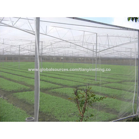 HDPE Anti Insect Nets for House for Sale - China Anti Insect Net,  Greenhouse Insect Net