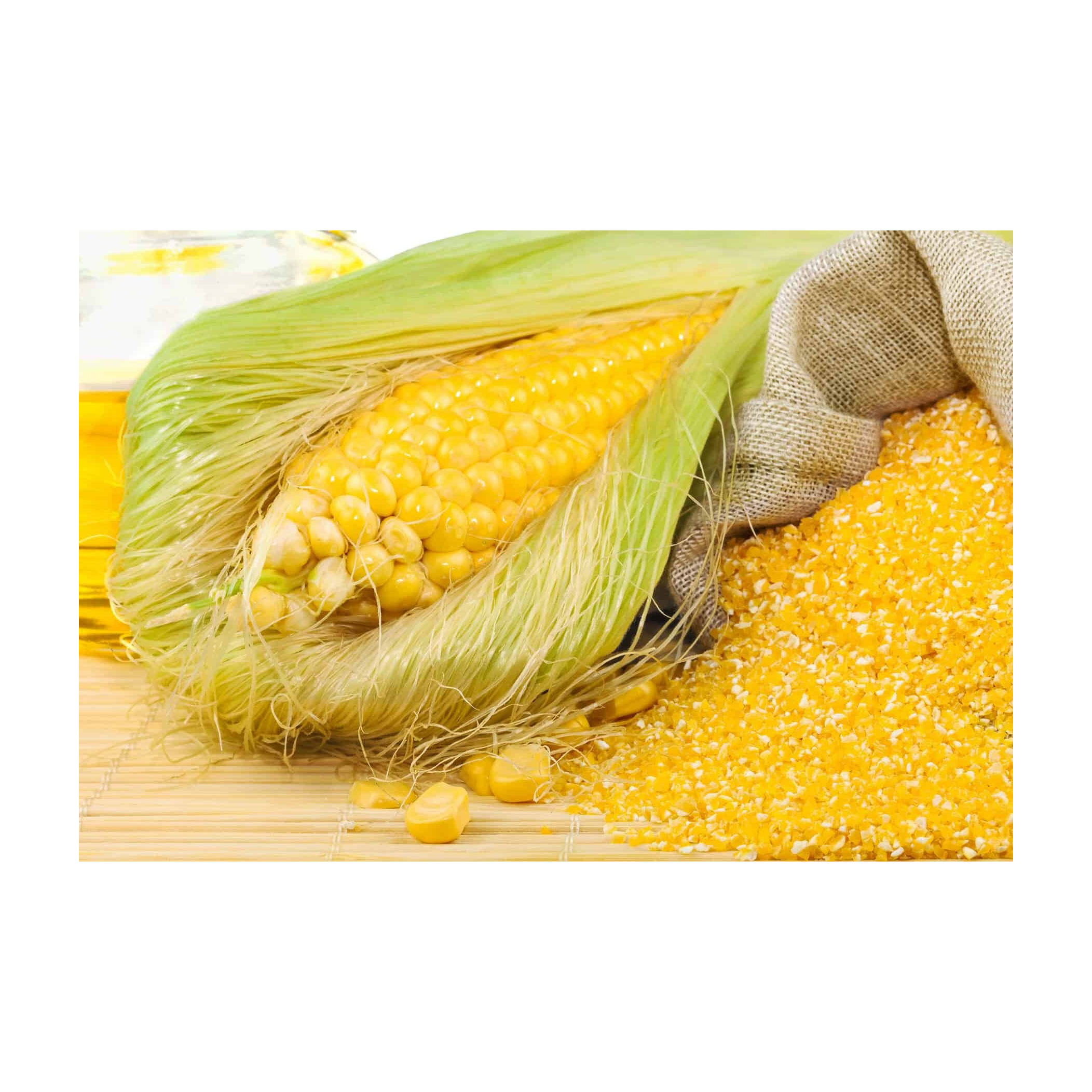 Buy Wholesale Hungary High Quality Brazil Corn Gluten Meal For Sale In