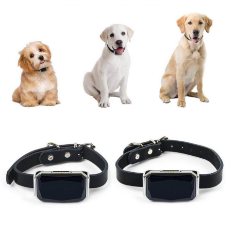 4G GPS collar para perros de caza localizador GPS perros IP67
