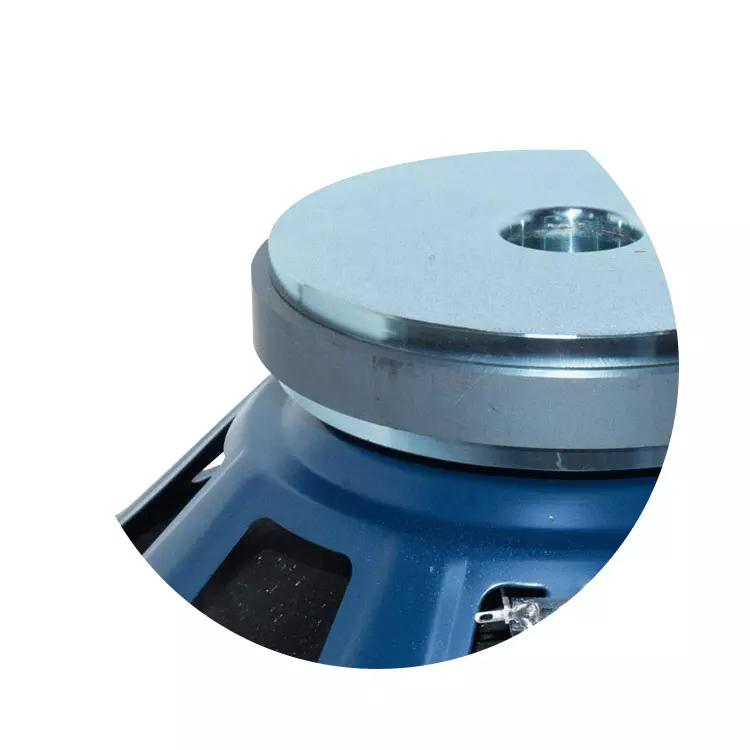 Buy Wholesale China 15 Inch Speaker Blue Metal Oem Picture Item Stand ...