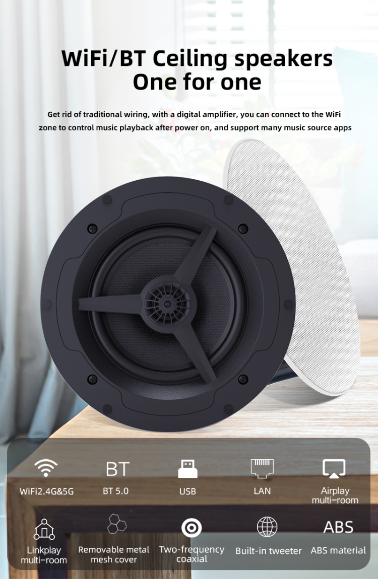 Buy Wholesale China In-ceiling Speakers With Built In Amplifier Cs-2 1 ...