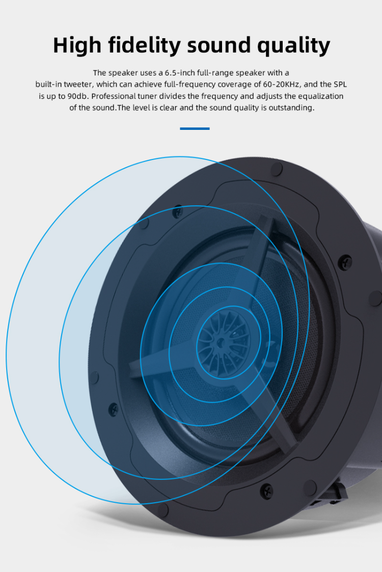 Buy Wholesale China Inceiling Speakers With Built In Amplifier Cs2 1