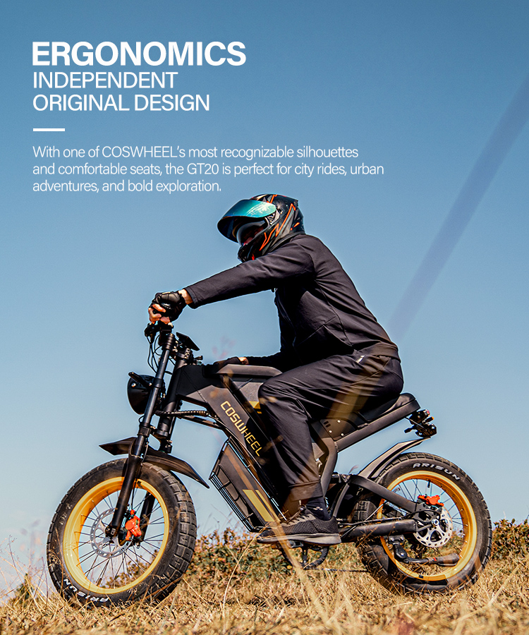 Coswheel Gt20 Electric Bike 20 Inch Fat Tire Off Road Ebike 1000w 48v ...