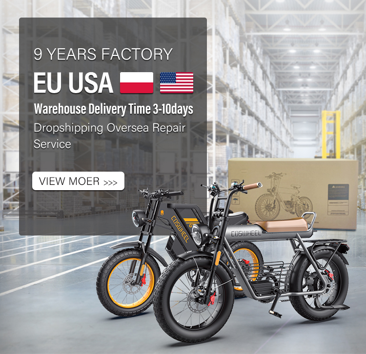 Coswheel Gt20 Electric Bike 20 Inch Fat Tire Off Road Ebike 1000w 48v ...