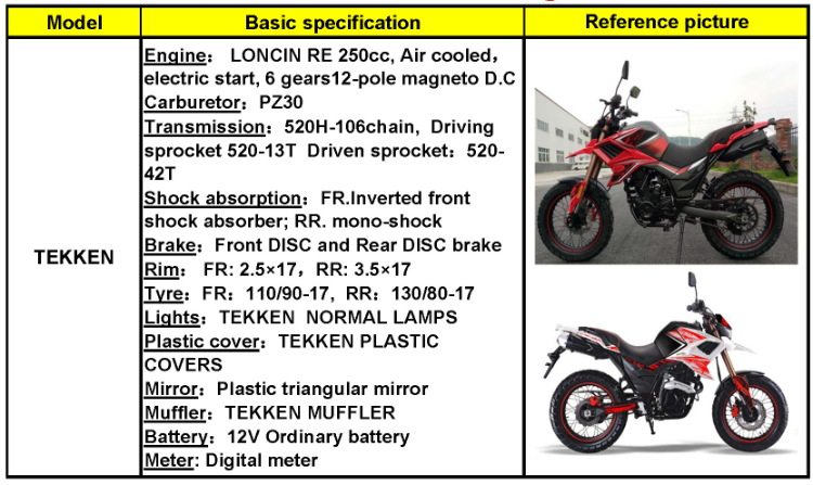 China Motorcycles Fuego Tekken250 Eec Motorbike Cheap For Sale 111601 $900  - Wholesale China Tekken250 200cc 250cc Motorcycle 2 Wheel Dual at factory  prices from Chongqing Fuego Power Co., Ltd.