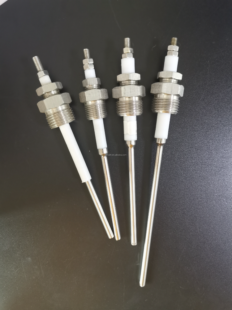 Customization Dn15 G1/2 Thread Liquid Tank Level Probe Steam Boiler