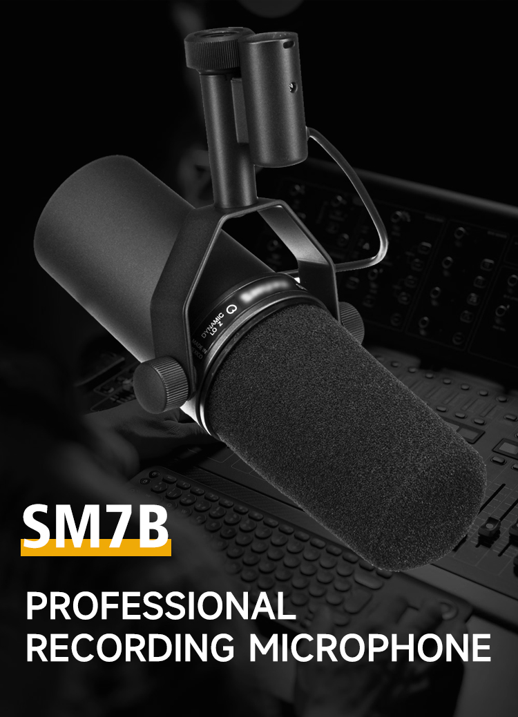 Buy Wholesale China Sm7b Professional Vocal Dynamic Microphone For ...