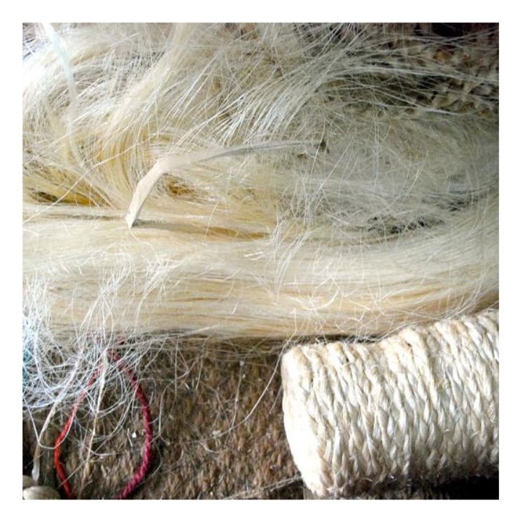 100% Natural Sisal Fiber Factory Supply Raw Sisal Fiber Sisal Fiber Rope