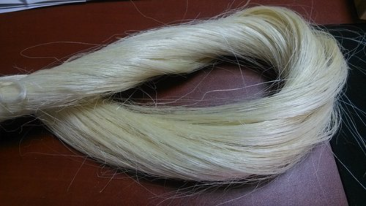 Wholesale Sisal Fiber for Gypsum Gypsum Hair for sale in bulk  Textile Sisal kenya Sisal fiber for sale