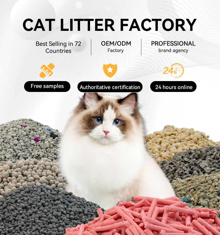 Buy Wholesale China Areeman Oem Highly Absorbent Dust Free Ph Health