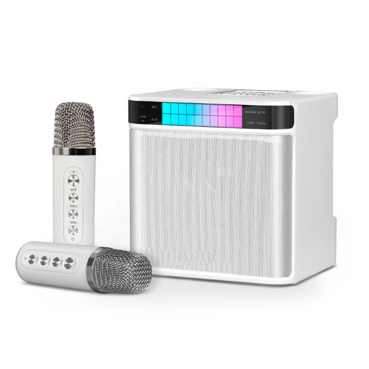 Mini Wireless Mic Bluetooth Small Speaker Outdoor Portable Karaoke