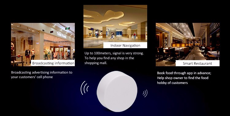 Minew E5 Programmable Bluetooth Beacon Iot Device For Mobile Proximity ...