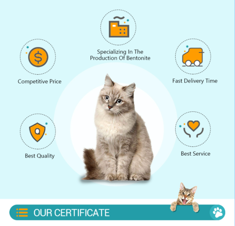 Professional Cat Litter Manufacturing Bentonite Cat Litter Raw Ore Best