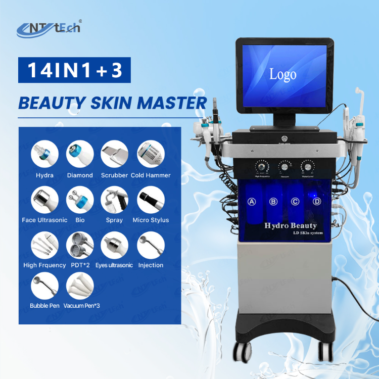 Buy Wholesale China Professional 14 In 1 Hydra Beauty Facial Skin ...