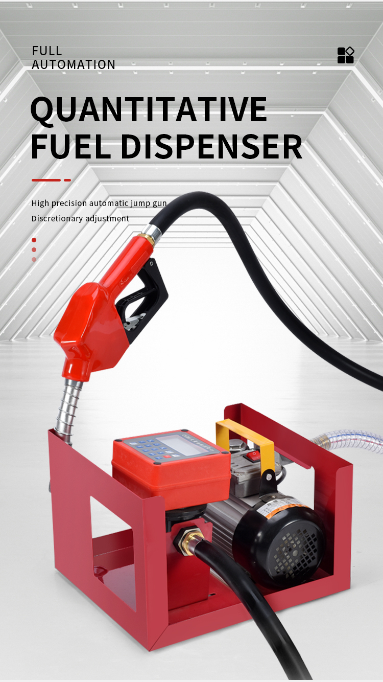 Mobile Portable Diesel Pump 110/220v Portable Fuel Diesel Pump And