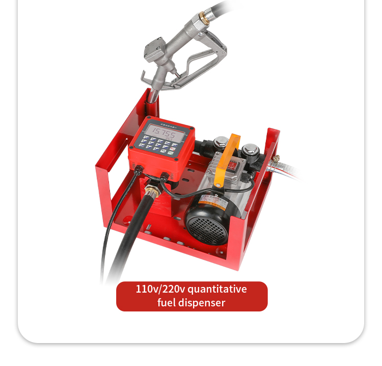 Mobile Portable Diesel Pump 110/220v Portable Fuel Diesel Pump And