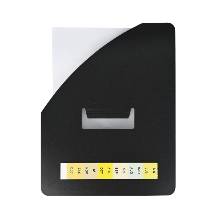 Expanding File With Handle Blank Cover Transparent Inner Pocket ...