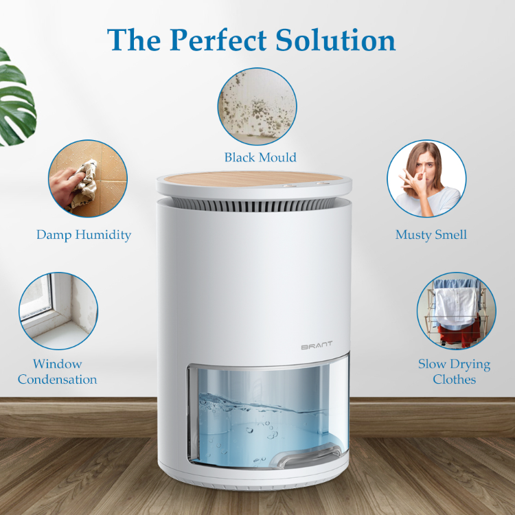Buy Wholesale China 1l Home Office Dehumidifiers Bathroom Portable Air ...