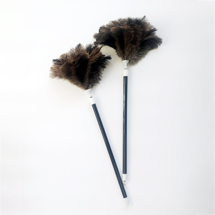 https://p.globalsources.com/IMAGES/PDT/B5952312055/Retractable-Ostrich-Feather-Duster.png