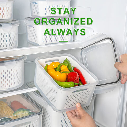 https://p.globalsources.com/IMAGES/PDT/B5952498447/Fridge-storage-containers.jpg