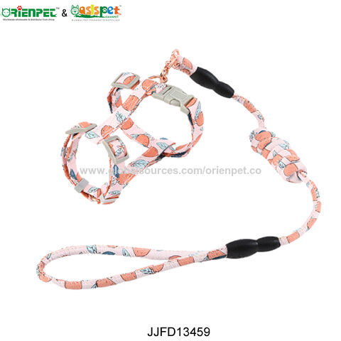 ORIENPET &amp; OASISPET Haustier-Halsband-Haustier-Leine-Leine JJFD13449 Haustier-Produkte