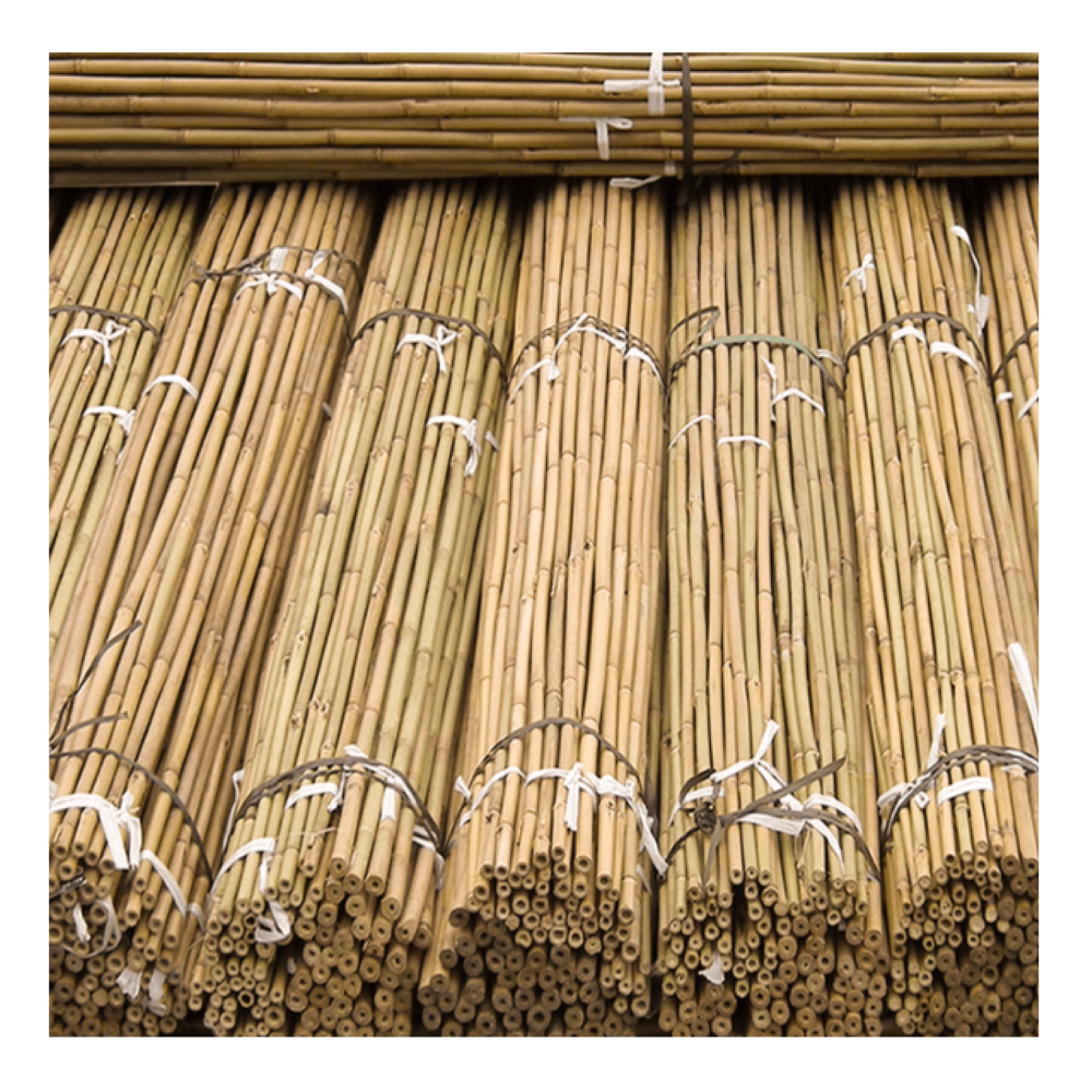 Bamboo Sticks 15/18, 110 Cm Length. Planting Sticks Bamboo Sticks Bamboo  Tonkin Tonkin Sticks Rank Aid Climbing Aid Tomato Sticks Rank Grid -   Norway