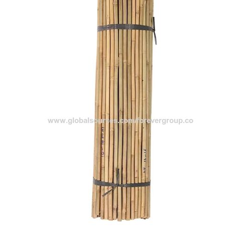 Dry Straight Agriculture Cheap Raw Bamboo Poles Manufactures For Garden  Plant Tonkin Bamboo Cane - China Wholesale Bamboo Stick Plant from Sunbelt  Group Co.Ltd