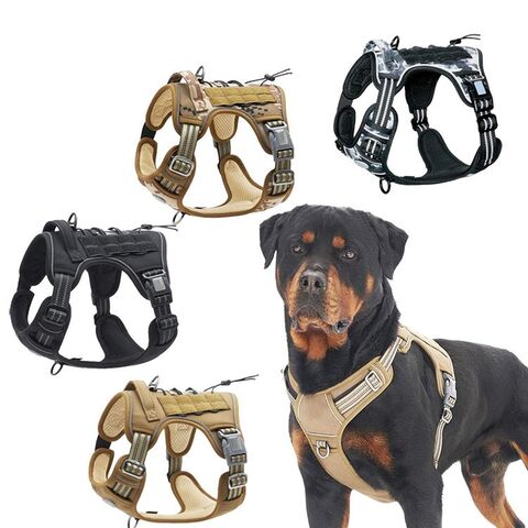 Pet Supplies Personalized Printing Designer Pet Dog Harness Collar Leash Pet  Supplies Print Soft Neoprene Dog Harness - China Dog Harness and Pet  Products price