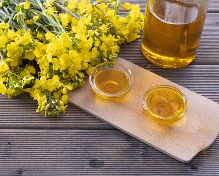 Buy Wholesale Czech Republic Wholesale Rapeseed Canola Oil Cooking Oil ...