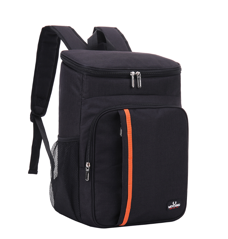 Bulk Buy China Wholesale Cooler Backpack, 2-in-1 Insulated Cooler Bag $5  from Fujian TD Industries Co. ,Ltd Dept.2