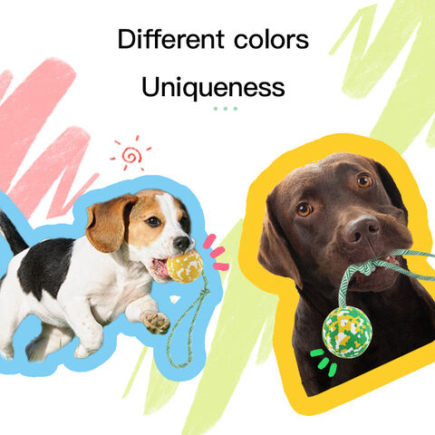 Hot Sale Multifunction Molar Bite Dog Toys Rubber Chew Ball Cleaning Teeth  Safe Elasticity Suction Cup Dog Chew Toy - China Pet Toy and Dog Toy price