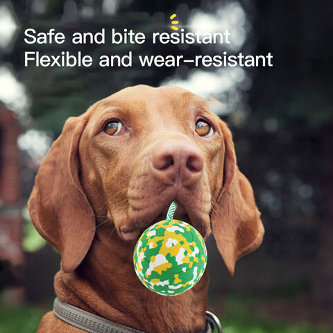 Hot Sale Multifunction Molar Bite Dog Toys Rubber Chew Ball Cleaning Teeth  Safe Elasticity Suction Cup Dog Chew Toy - China Pet Toy and Dog Toy price