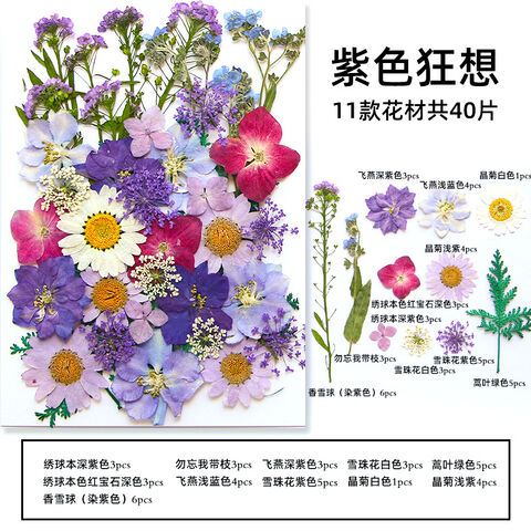 Dried Flowers for Resin Mixed Pressed Dry Flower Leaves Multiple Natural  Pressed Flower Real Mini Flowers for Crafts Colorful Handmade Dry Plants  for