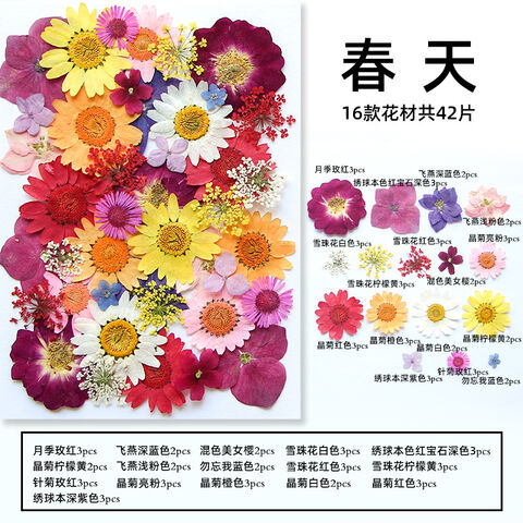 Caja de flores secas para uñas, artesanía de resina con flores secas,  mezcla de mini flores secas, 12 colores