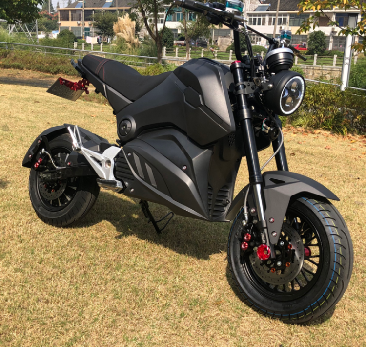 Moto Electrica Ultra Off Road 2000w – Century Motors