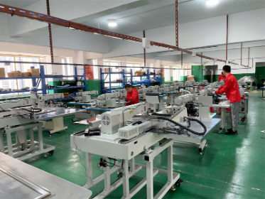 Side Slip Machine Rynian-3020china's Cheapest Computer Pattern Sewing Machine 3020f ...