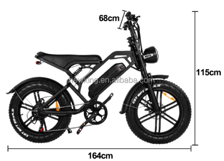 V20 City Life Ebike 20 Inch 250w/1000w 48v 15ah Long Range E Bike