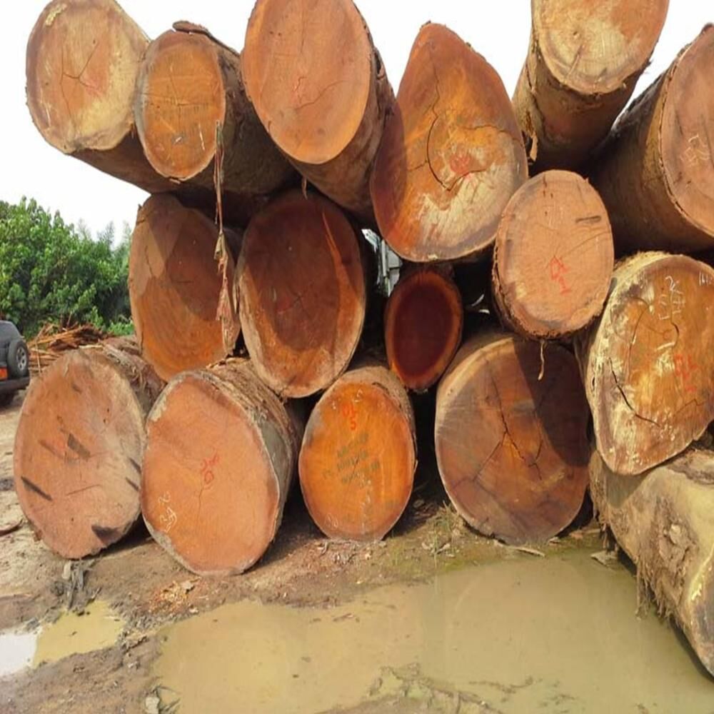 Buy Wholesale United States Beech Wood Logs And Lumber/oak Wood