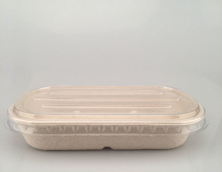 50pcs Disposable Biodegradable Bowl Packaging Ware Disposable Ware