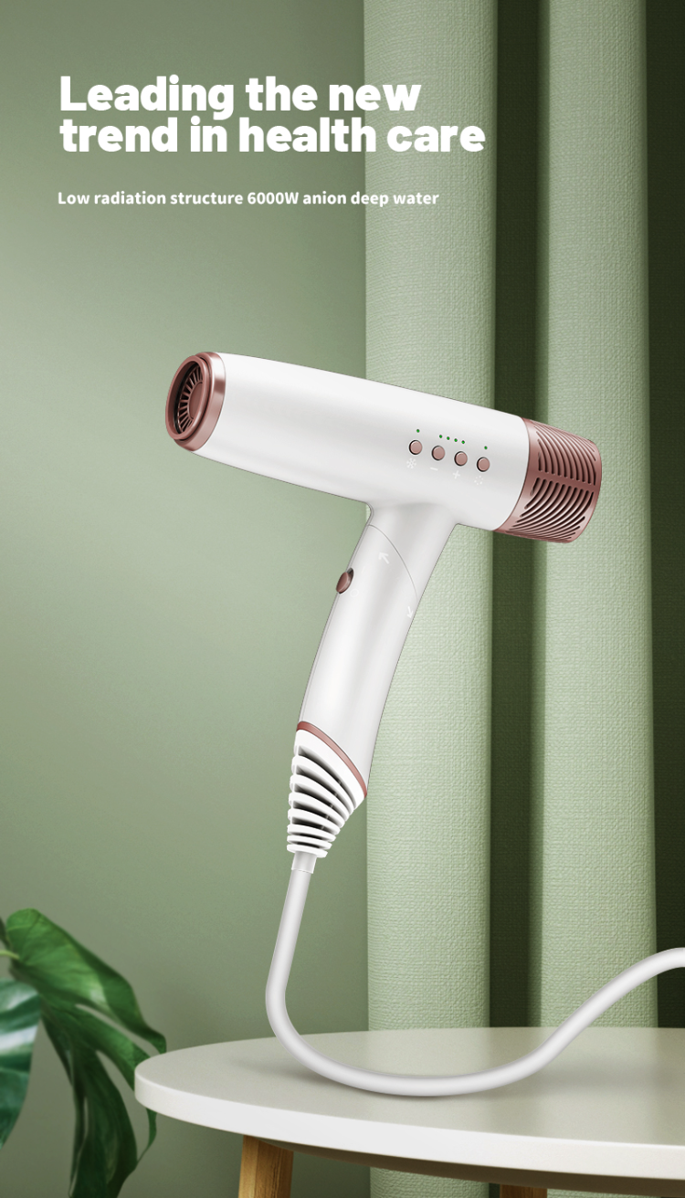 Hair Dryer Professional Ionic Hair Dryer Compact Quiet Hair Dryer Portable  Travel Hair Dryer Brushless Motor. Foldable Hair Dryer with Magnetic Nozzle  Wind Speed/Temperature Three-Speed Adjustment Champagne