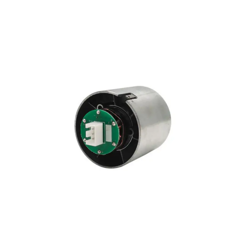 Secador de cabelo iônico de alta velocidade para casa, 110000 rpm, BLDC, íons negativos, 220 V ou 110 V, motor trifásico sem escovas para hotéis