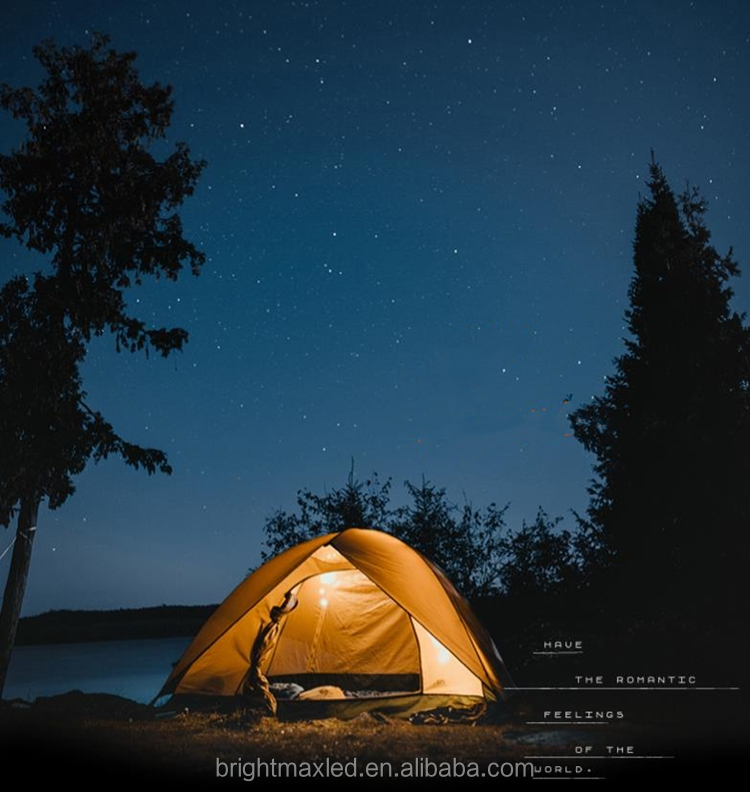 Buy Wholesale China Ac Dc Voltage Decoration Amber Vintage 1w ...