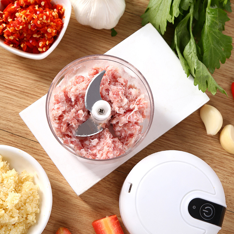 Wholesale Kitchen 250ml Electric Mini Garlic Chopper Portable Wireless ...