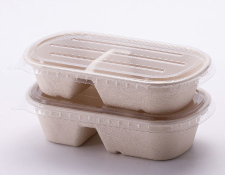 Buy Wholesale China 1000ml 2 Compartments Biodegradable Food Packaging ...