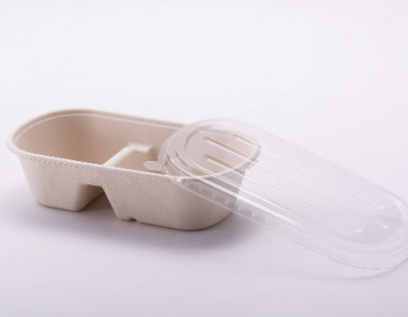 Buy Wholesale China 1000ml 2 Compartments Biodegradable Food Packaging ...