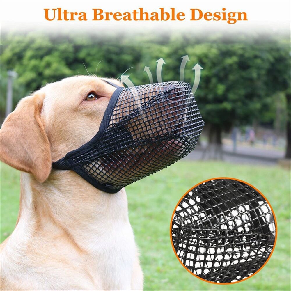 Dog muzzle deals manufacturers