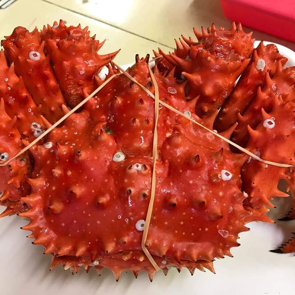 Buy Wholesale United States Whole Red Live King Crab Hot Sale Best