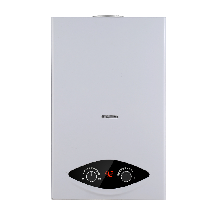 Wall Mounted Low Water Pressure Gas Water Heater Well Design - China Gas  Water Heater and Flue Exhaust Heater price